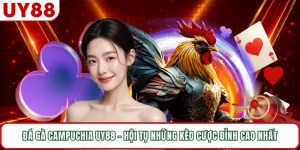 Đá Gà Campuchia UY88 - Hội Tụ Những Kèo Cược Đỉnh Cao Nhất