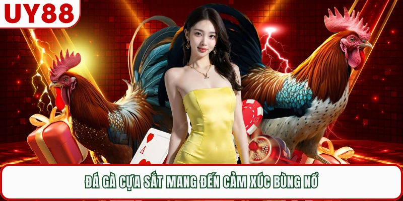 Đá gà cựa sắt mang đến cảm xúc bùng nổ