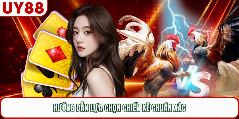 Hướng dẫn lựa chọn chiến kê chuẩn xác