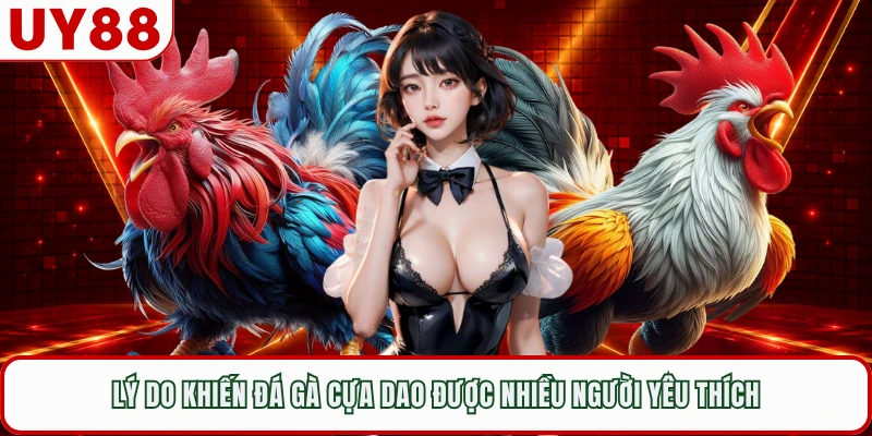 Lý do khiến đá gà cựa dao được nhiều người yêu thích