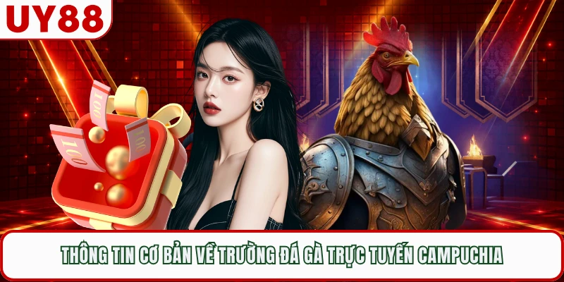 Thông tin cơ bản về trường đá gà trực tuyến Campuchia