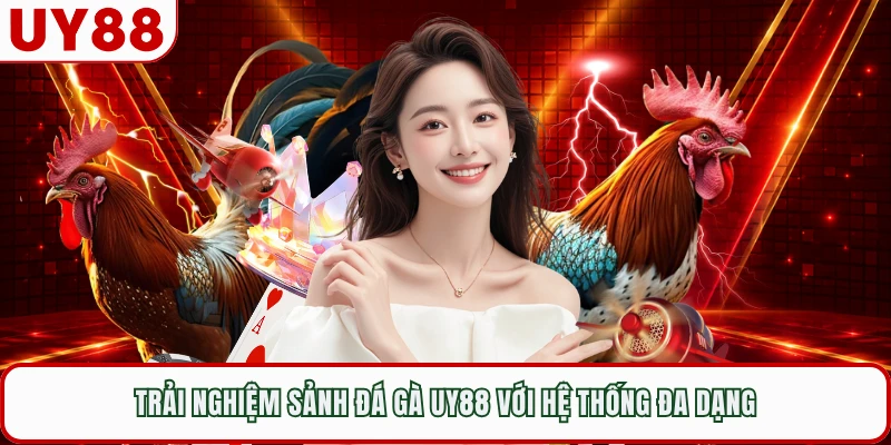 Trải nghiệm sảnh đá gà UY88 với hệ thống đa dạng